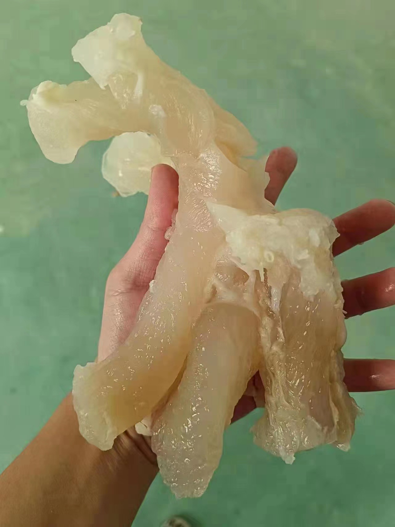 成都直发 冷冻 牛筋 牛蹄筋 牛杂 火锅 麻辣烫 食材 20斤/件-阿里巴巴