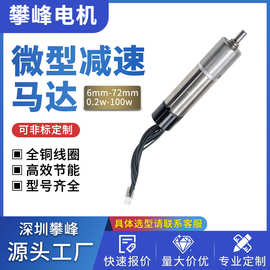 厂家定制机器人微型直流减速电机空心杯无刷静音电机12mm小马达