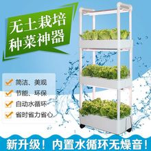 阳台种菜多层家庭水培蔬菜种植箱智能种菜机室内无土栽培设备