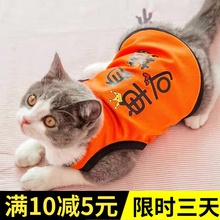 猫咪衣服防掉毛夏季狗狗搞笑背心透气小猫猫蓝猫幼猫可爱宠物用品