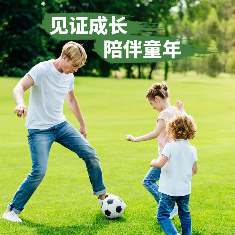 No. 3 No. 4 No. 5 Children Teenagers Adult Primary and Secondary School Football School Training Competition Machine-Sewing Soccer Wholesale