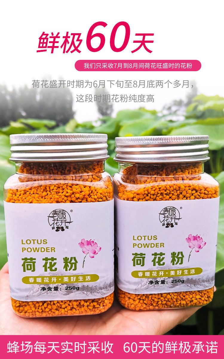 新鲜荷花粉 纯正天然荷花花粉蜂花粉农家自产 莲花粉人吃花粉食用