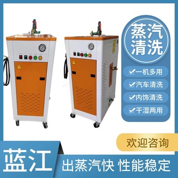 6kw9kw电加热蒸汽洗车机 12kw食品加工 洗涤熨烫 杀菌消毒清洗机