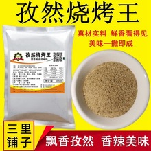 五香烧烤王500g牛羊肉撒料海鲜调味粉烤肉烧烤料油炸铁板刷料商用