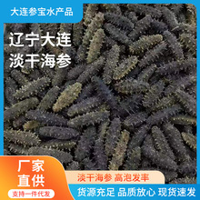 大连纯淡干海参500g 非即食海参干货 厂家批发代发