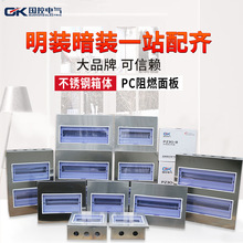 室内不锈钢家装照明箱PZ30配电箱布线箱暗装电表箱强电监控设备