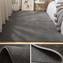 地毯卧室床边毯家用加厚超柔可爱满铺可水洗榻榻米地垫客厅茶几毯