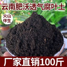 花土腐叶100斤腐熟通用型营养土透气森林高营养种菜养花泥炭土热