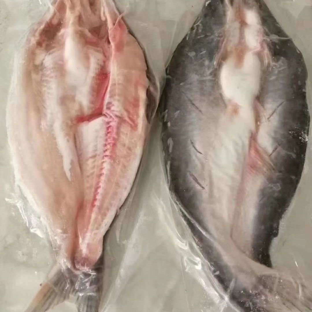 开背巴沙鱼湄公鱼腌制烤鱼冷冻净重.-.斤/条商用整箱包邮