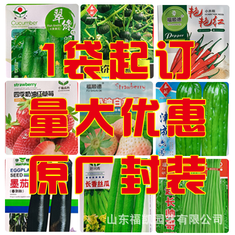 批发四季蔬菜种子水培阳台种菜盆栽黄瓜苦瓜茄子四季草莓豆角种子