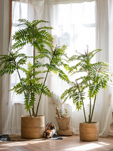 掬涵 大型仿真植物香椿树假绿植盆景摆件室内客厅北欧ins风装饰