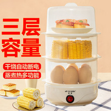 蒸蛋器多功能煮蛋器小型蒸蛋羹机早餐机1-3格大小容量