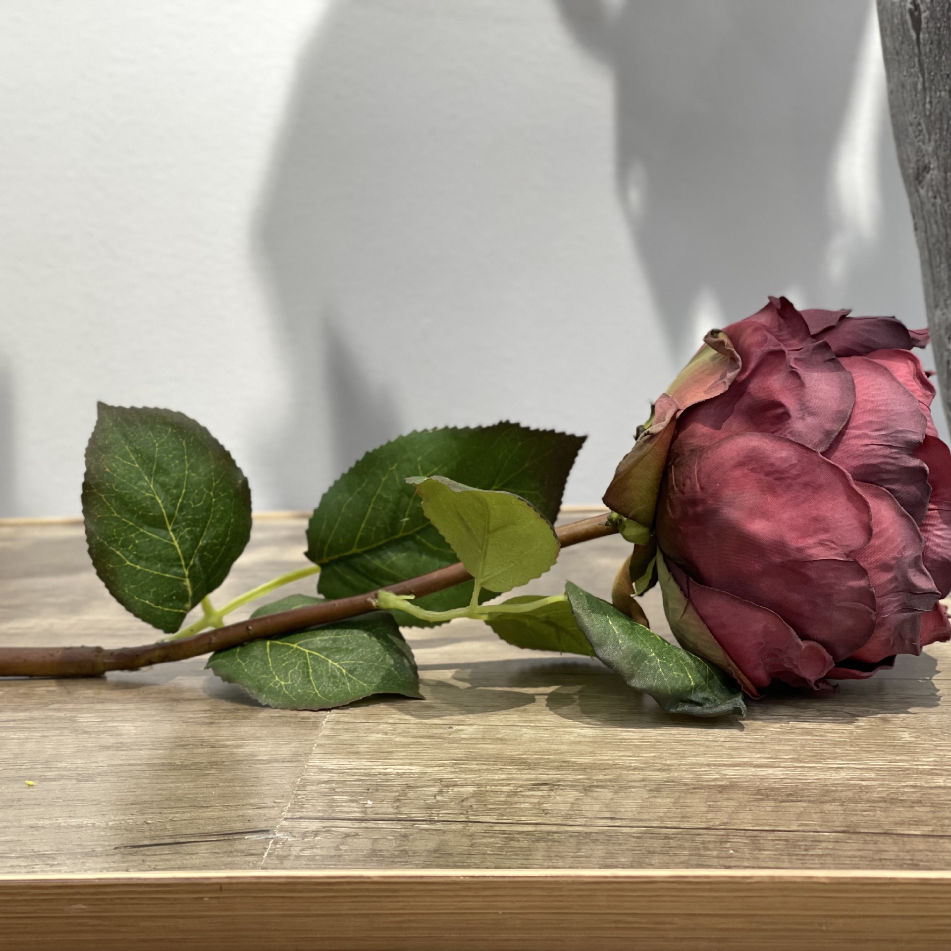 仿真玫瑰花焦边玫瑰奥斯汀玫瑰仿干花油画复古玫瑰芍药家居装饰花