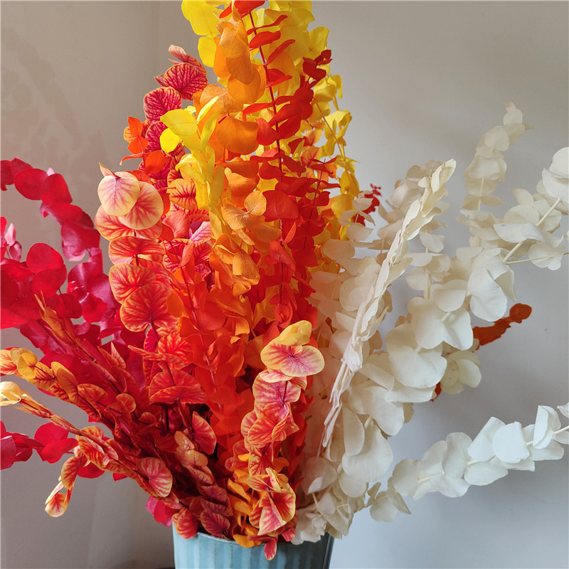 永生花圆叶大叶尤加利云南干花漂色圆叶铜钱桉家居装饰花束插花