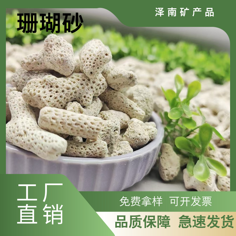 源头供应现货珊瑚砂 珊瑚骨 鱼池水族过滤水处理鱼缸造景 珊瑚石