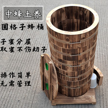 圆桶格子蜂箱老式复古格子圆形加厚透明诱蜂圆木桶蜂箱木头高桶