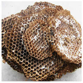 蜂房100g 大黄蜂胡蜂灸蜂房干蜂巢 蚂蜂窝新货马蜂窝野蜂窝露