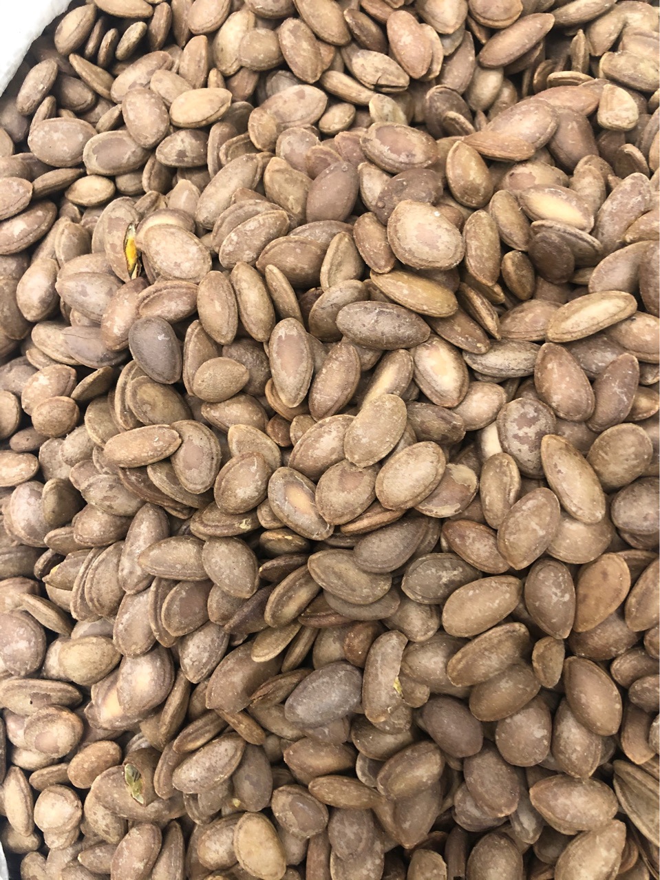 瓜蒌子批发新货栝蒌实瓜蒌仁药厂头料代嚰粉