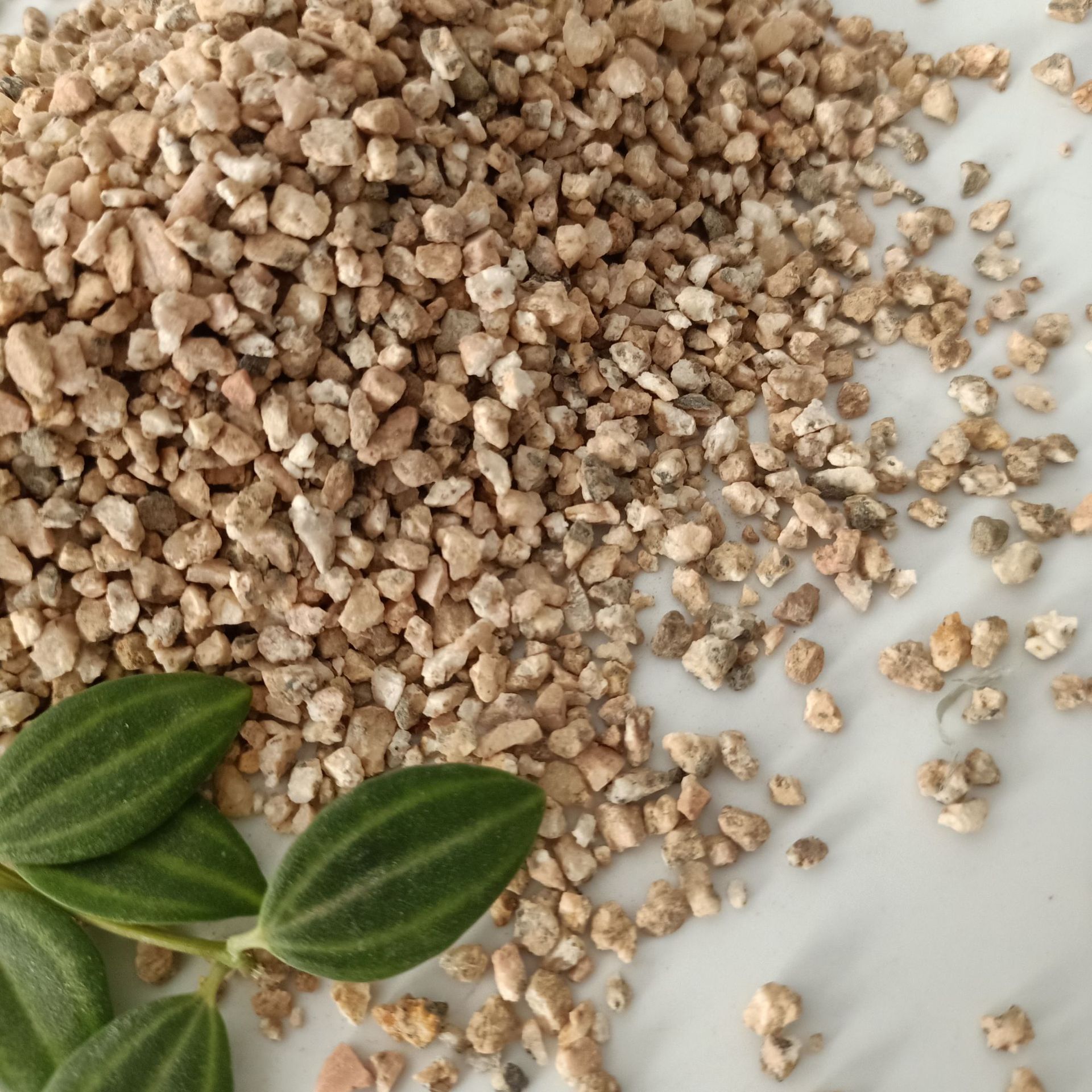 黄金麦饭石颗粒 麦饭石颗粒 多肉铺面 兰花扮土 黄金软麦饭石