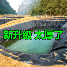 鱼塘防渗膜鱼池防水帆布水产养殖塑料膜蓄水池篷布膜油布专用加厚