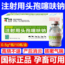 兽用兽药注射用头孢噻呋钠猪牛羊用孕畜可用高烧不退产后消炎咳嗽