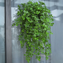 爬山虎墙壁挂装饰植物假花藤条藤蔓绿植塑料吊兰吊篮垂吊室内