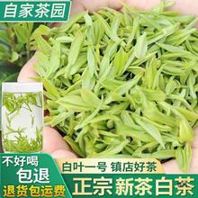 安吉白茶2024新茶明前级白茶浙江高山绿茶250g500g