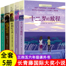 长青藤国际大奖小说书系全5册十二岁的旅程地下121天课外书故事书