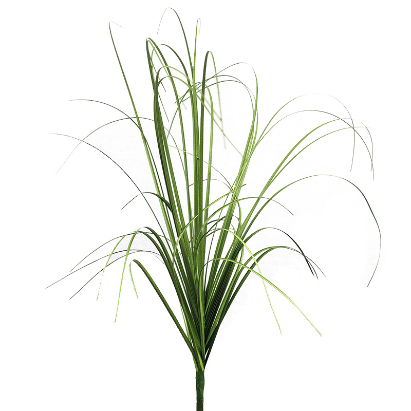 Nordic Ins Style Home Simulation Single Papyrus Indoor Simulation Plant Wall Simulation Green Onion Grass Fake Flowers