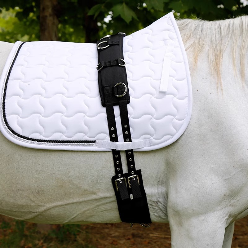 8109054马术用品厂家批发马鞭 长鞭 鞭子 碳纤维 舞步长鞭 跨境