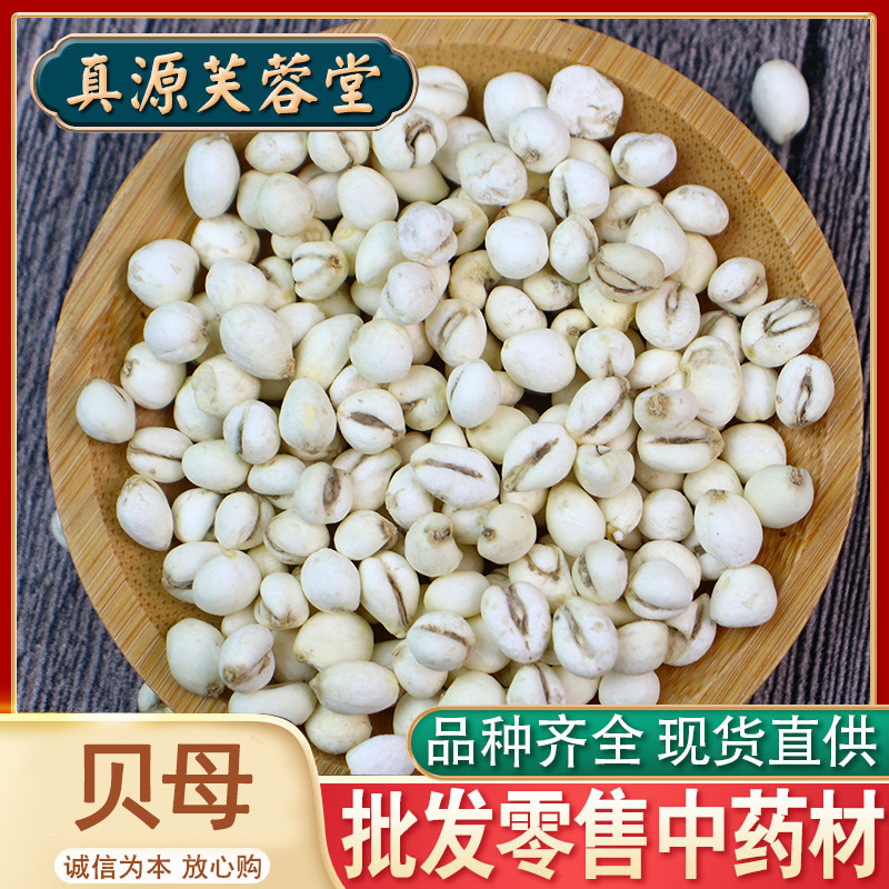 新货中药材贝母 川贝母大货批发干净浙贝母大货承接农产品