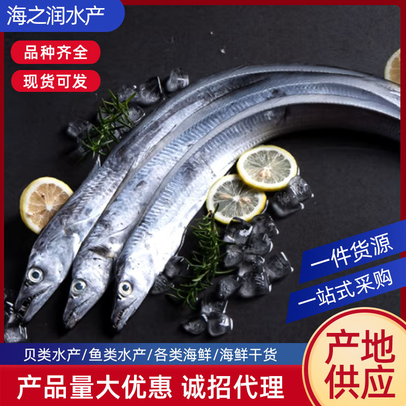 20斤连云港本地黄海小眼带鱼新鲜冷冻非东海舟山速冻大带鱼刀鱼