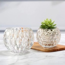 简约创意水晶玻璃花瓶装饰水培植物瓶透明花器绿萝铜钱草花盆批发