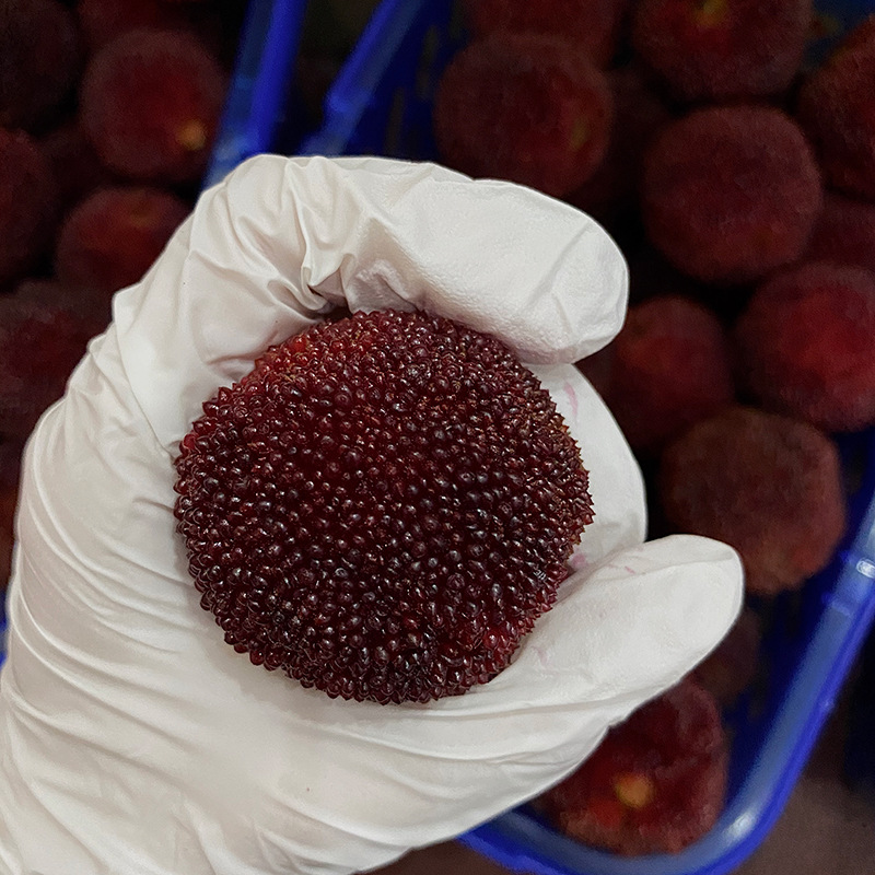 仙居特级东魁杨梅