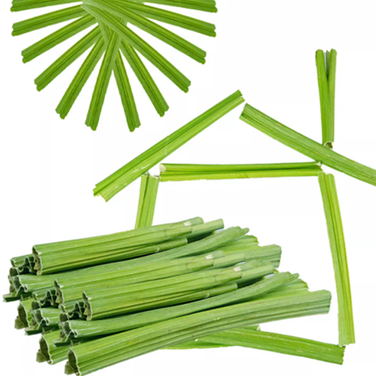 天然木瓜干烘干木瓜丝木瓜条片调理肠胃奖励互动龙猫豚鼠兔子零食