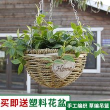 吊兰花盆垂吊悬挂式吊挂多肉创意客厅绿萝盆种花阳台草编织装饰