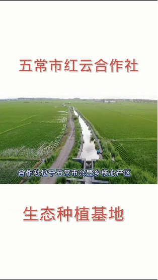 稻花香2号香米黑龙江五常新大米包邮2斤现磨现发东北特产大米批发