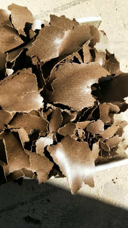 批发胡麻饼物理压榨各种油饼牛马羊蛋白质饲料 有机肥料用菜籽饼