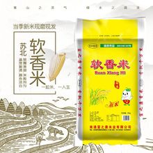 华粳5号水稻种子粳稻种子高产抗病优质香粳米种子稻谷种籽可留种