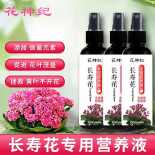 免稀释长寿花专用营养液家用养花肥料促开花防病害盆栽通用型批发