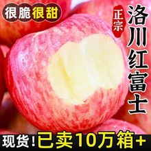 2024新果】陕西洛川红富士苹果脆甜新鲜冰糖心苹果水果一整箱批发