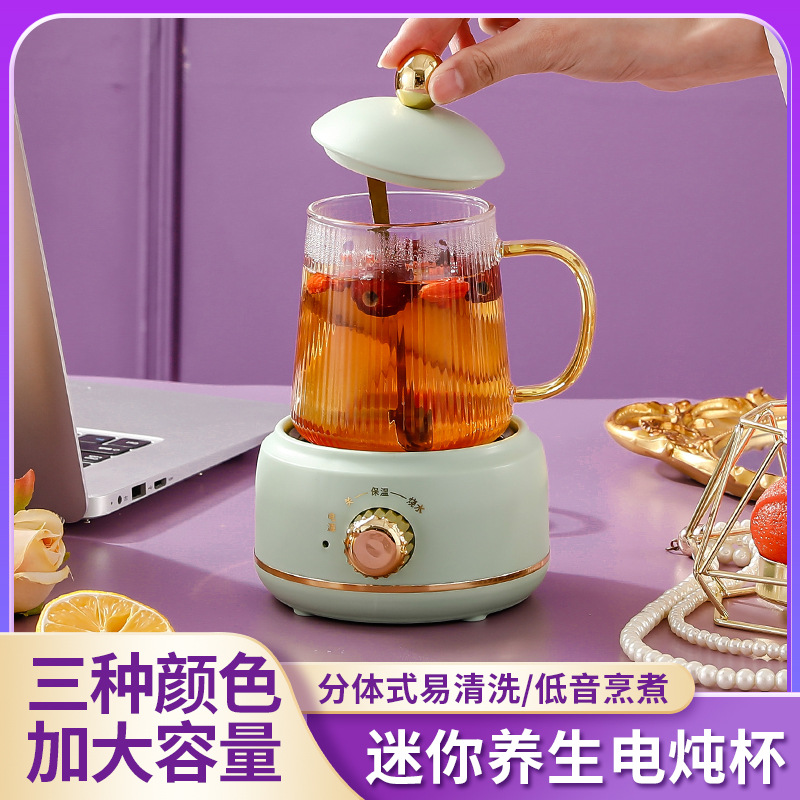 Health Pot Office Small Multi-Functional Mini Electric Kettle Health Bottle Household Hot Milk Burning Flower Tea Cup