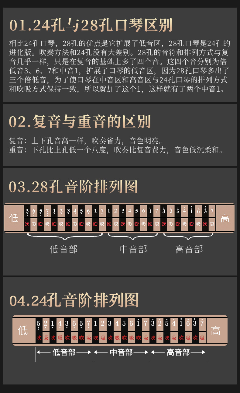 国光口琴24孔国之梦演奏级口琴复音c调 f调 a调 d调 b调 28孔重音