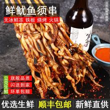 速冻新鲜鱿鱼须串章鱼串八爪鱼串铁板鱿鱼烧章鱼足烤海鲜食材批发