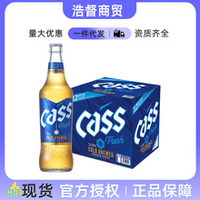 凯狮啤酒cass原装进口啤酒500ML*12瓶整箱批发玻璃瓶装经典啤酒