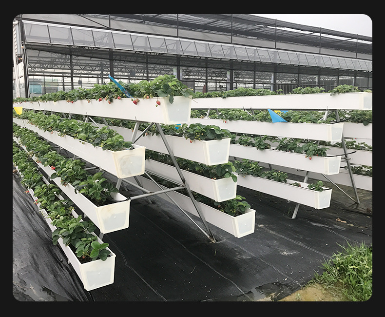 pvc塑料无土有机栽培草莓立体种植槽温室蔬菜栽培槽大棚培育架