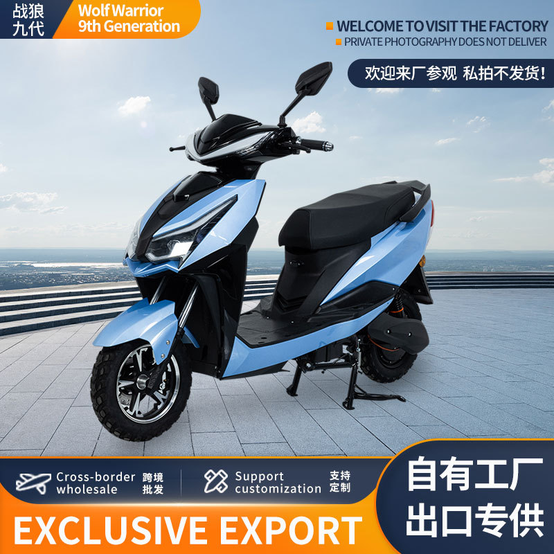 外贸批发战狼九代电摩双人电瓶车上班电动自行车海外进出口-阿里巴巴