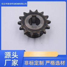 厂家供应 非标传动不锈钢齿轮 工业双节距金属齿轮