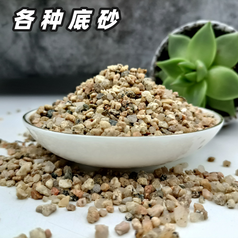 水洗河沙湄公河沙珍珠海沙菲律宾沙黄金沙高铝沙多肉铺面造景底砂