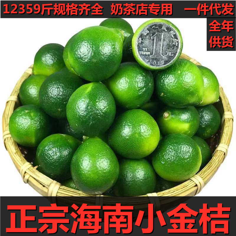 【极速发货】正宗海南小金桔12/3/5/9斤奶茶店专用青柠檬新鲜整箱